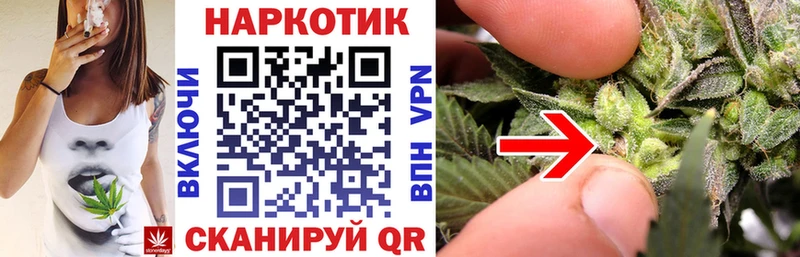 Купить Героин  Меф мяу мяу  A-PVP  ГАШИШ  Бошки Шишки  Лесной