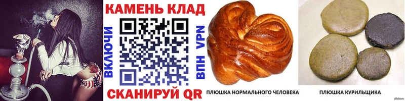 Гашиш Premium  Купить закладки  Лесной 