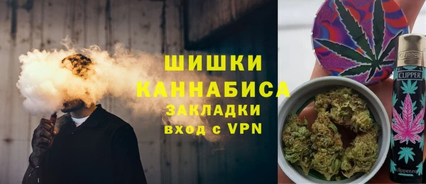 индика Костерёво