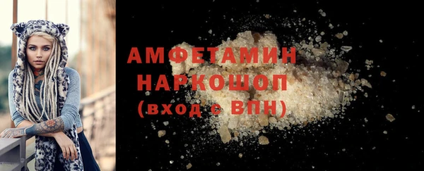 индика Костерёво