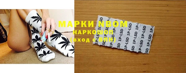 твердый Коряжма