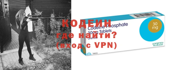 индика Костерёво