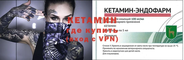 индика Костерёво