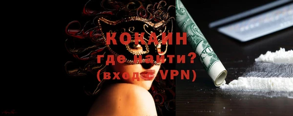твердый Коряжма