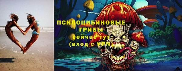 твердый Коряжма