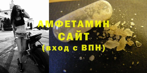 индика Костерёво