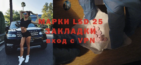 индика Костерёво