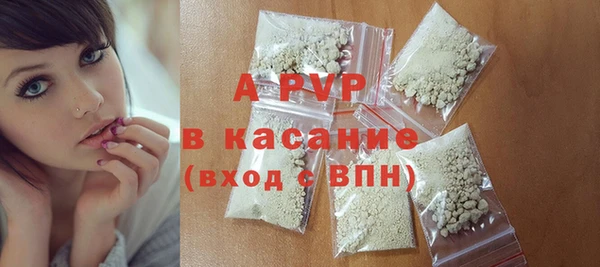 твердый Коряжма