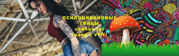 твердый Коряжма