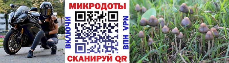 Купить где  Лесной  Галлюциногенные грибы ЛСД 